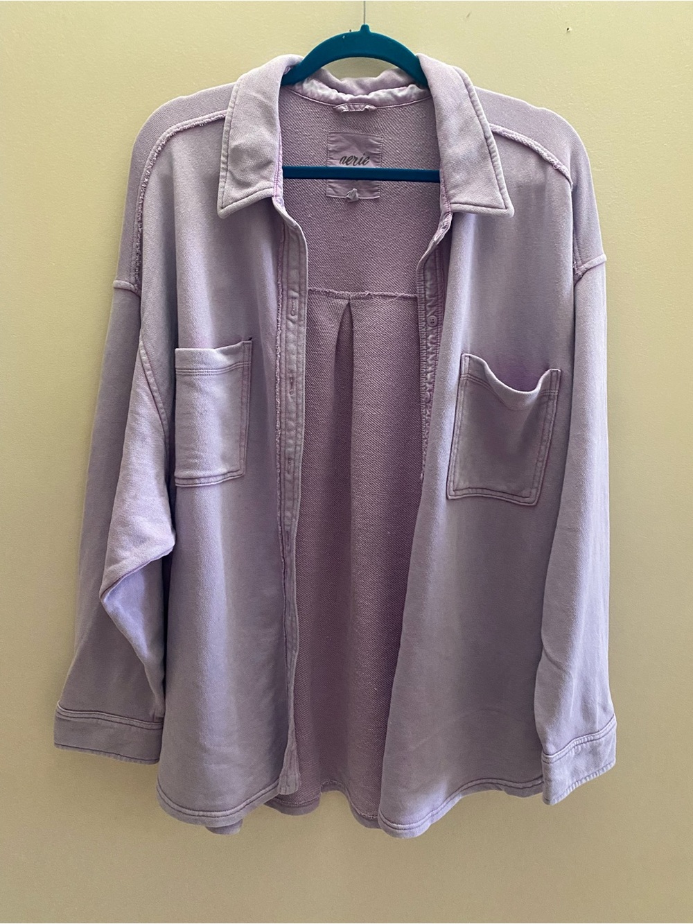 Aerie lumber Jane buttondown